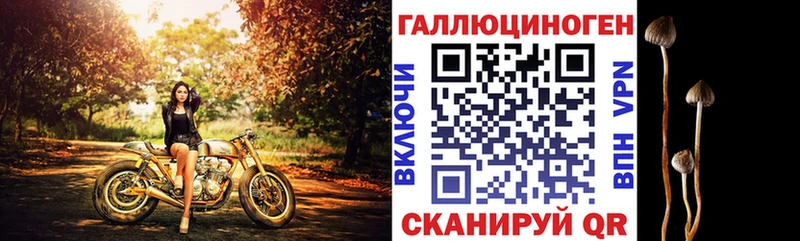 Псилоцибиновые грибы прущие грибы магазин Шахунья